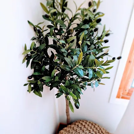 Paradis Cotier 6 Couchages * Αντίμπ